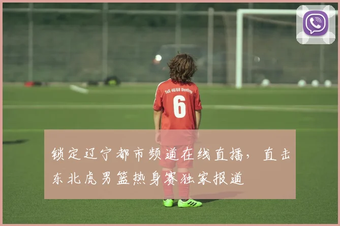 锁定辽宁都市频道在线直播,直击东北虎男篮热身赛独家报道