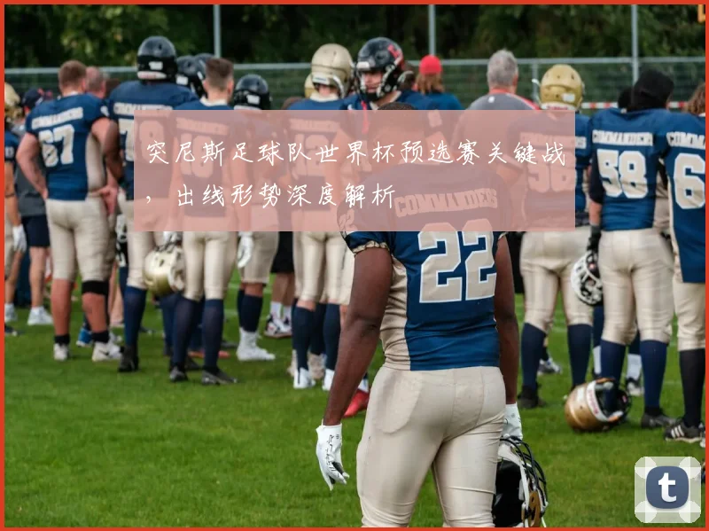 突尼斯足球队世界杯预选赛关键战，出线形势深度解析